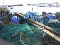 <img200*0:stuff/FP_Torquay_027.jpg>