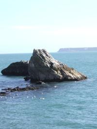<img200*0:stuff/FP_Torquay_032.jpg>