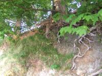 <img200*0:stuff/FP_downattheriver_007.jpg>