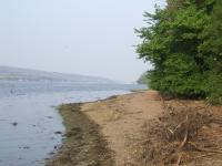 <img200*0:stuff/FP_downattheriver_009.jpg>