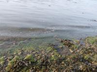 <img200*0:stuff/FP_downattheriver_010.jpg>