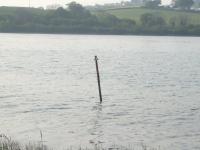 <img200*0:stuff/FP_downattheriver_013.jpg>