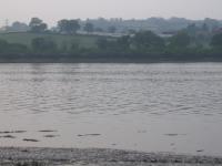 <img200*0:stuff/FP_downattheriver_017.jpg>