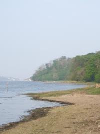 <img200*0:stuff/FP_downattheriver_029.jpg>