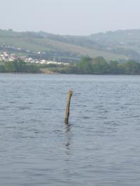 <img200*0:stuff/FP_downattheriver_030.jpg>
