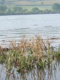 <img200*0:stuff/FP_downattheriver_038.jpg>