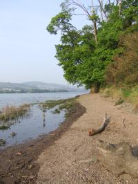 <img200*0:stuff/FP_downattheriver_040.jpg>