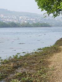 <img200*0:stuff/FP_downattheriver_043.jpg>