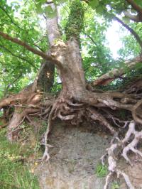 <img200*0:stuff/FP_downattheriver_044.jpg>