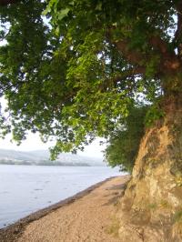 <img200*0:stuff/FP_downattheriver_046.jpg>
