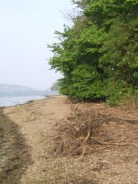 <img200*0:stuff/FP_downattheriver_047.jpg>