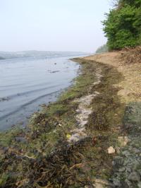 <img200*0:stuff/FP_downattheriver_048.jpg>