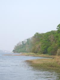 <img200*0:stuff/FP_downattheriver_049.jpg>
