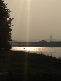 <img200*0:stuff/FP_downattheriver_050.jpg>
