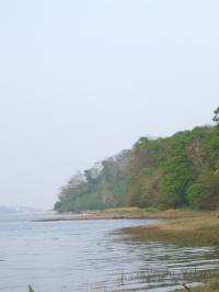 <img200*0:stuff/FP_downattheriver_051.jpg>