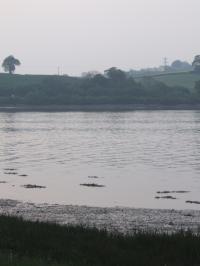 <img200*0:stuff/FP_downattheriver_058.jpg>