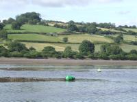 <img200*0:stuff/FP_downattheriver_061.jpg>