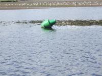 <img200*0:stuff/FP_downattheriver_070.jpg>