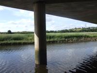 <img200*0:stuff/FP_downattheriver_074.jpg>