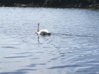 <img200*0:stuff/FP_downattheriver_078.jpg>