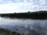 <img200*0:stuff/FP_downattheriver_081.jpg>