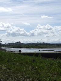 <img200*0:stuff/FP_downattheriver_085.jpg>