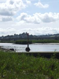 <img200*0:stuff/FP_downattheriver_087.jpg>