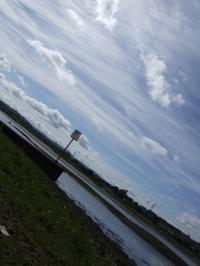 <img200*0:stuff/FP_downattheriver_088.jpg>