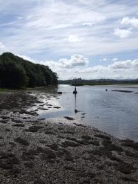 <img200*0:stuff/FP_downattheriver_091.jpg>
