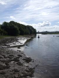 <img200*0:stuff/FP_downattheriver_092.jpg>
