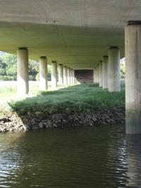 <img200*0:stuff/FP_downattheriver_095.jpg>