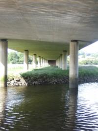 <img200*0:stuff/FP_downattheriver_096.jpg>
