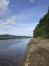 <img200*0:stuff/FP_downattheriver_098.jpg>