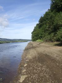 <img200*0:stuff/FP_downattheriver_099.jpg>