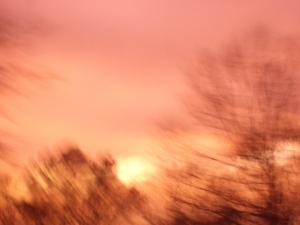 <img300*0:stuff/Faint_and_Coming_To.jpg>