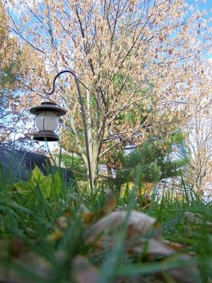 <img300*0:stuff/Fairy%27s_View.jpg>