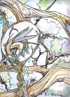 <img100*0:stuff/Fairy1.jpg>