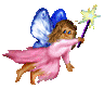 <img:stuff/FairyJoyRevSM.gif>