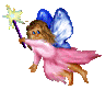 <img:stuff/FairyJoySM.gif>