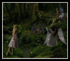 Fairy Land Stock INFO