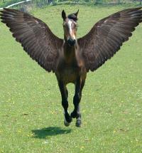 <img200*0:stuff/FantasysReality.jpg>