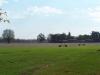 <img100*0:stuff/Farm_Field.jpg>
