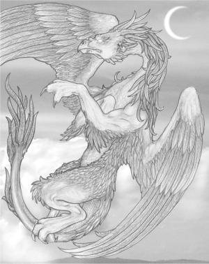 <img300*0:stuff/Featherdragon.jpg>