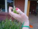 <img0*100:http://elftown.heddate.com/stuff/Female_-_flower.jpg>