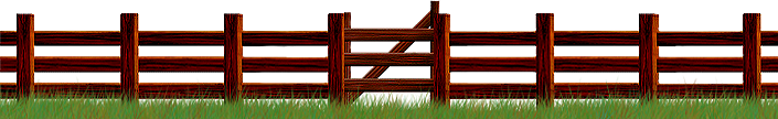 <img:stuff/Fence-CedarDark_gatebehind705X108.png>