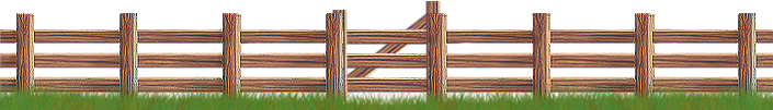 <img:stuff/Fence-CedarLt_gatebehind705X101.png>