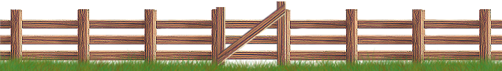 <img:stuff/Fence-CedarLt_gateinfront705X101.png>