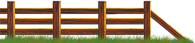 <img:stuff/Fence-Cedar_endRt400X90.png>