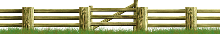 <img:stuff/Fence-TreatedWood_gatebehind705X110.png>
