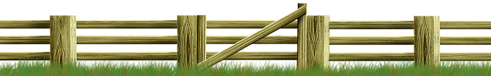 <img:stuff/Fence-TreatedWood_gateinfront705X110.png>